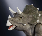 Jurassic World: Hammond Collection Mattel 2024 (BABY TRICERATOPS) 8+ Brand New