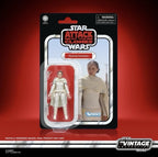 Star Wars: AOTC Hasbro 2025 The Vintage Collection (PADME AMIDALA) 4+ Brand New
