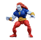 Marvel Legends Series: Hasbro 2025 MARVEL’S STARFOX & CHAMPION OF THE UNIVERSE 4+ New